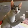 vn.minh.hiu2_9_12