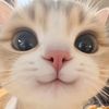 nana😼
