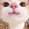 jierhabuenaflor