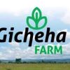 GICHEHA FARM FORUM