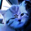 kitbhat1