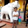 nguyn.hoang.tm7