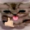 masryywgd9djdbjeokwbw