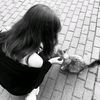 aleen_14339