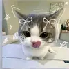 louis_dump_