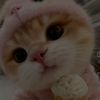 naylaa_1.2.3