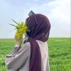 thanina.mohammed