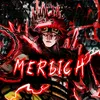 merych_v2