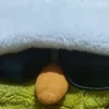 real_dvck