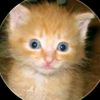 liza_123467