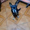 trefina.f.fernnde