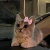noony_961