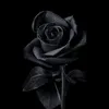 guldelen_l9o5