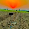sada_apna_pind_03