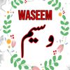 03151480411waseem4