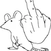 ratodobasquete