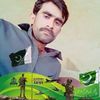 bachal.abbasi6