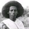 shirwac336