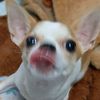phasit.bubpha