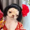 linh.khanh7644