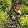 dedy.siregar.sipe