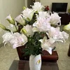 phong.lv160