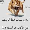 user7703944772041