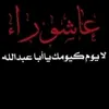 nokkl13