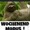 klauskeiner