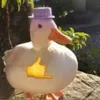 duckkgodvrr2.0