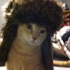 rianraccoonn