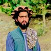 zulfiqar.ahsna