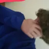 kaedenlimbert5