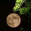 abo.khaled5265