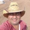 gavilan6894
