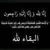 nazouu_qu