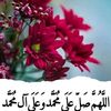 user25324513112907