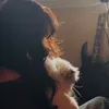 .ardiinnaa