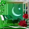 hasaankhan2332