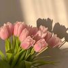 nouralzahraa53