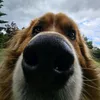 chu1_0