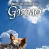 gizmo_live_heaven_peace
