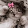 tat_494