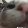 akiiilaantitooo