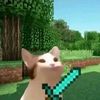 efraprothelo_ricardium