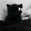 ferxz._
