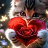 user981850255