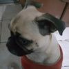 eliascastro5739