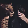 user76000053619527