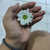 si.kang.bakoelan